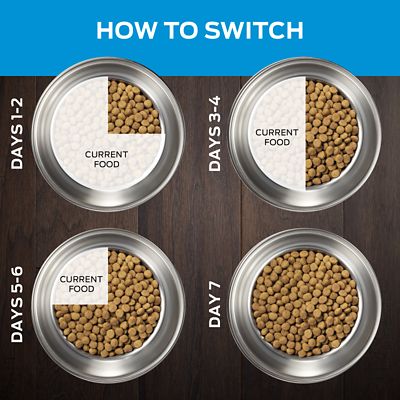 Image showing  Veterinary Diets Adult DRM Dermatologic Management Naturals Dry Dog Food