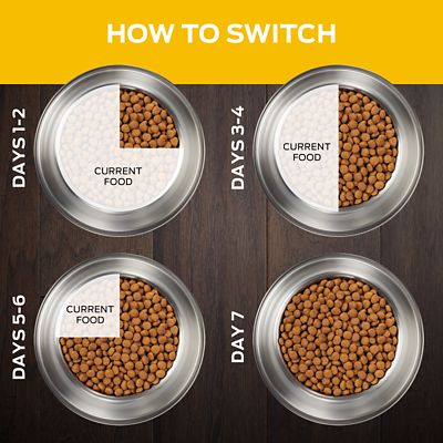 Image showing  Veterinary Diets NC NeuroCare Canine Formula Dry Dog Food