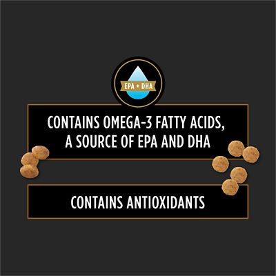 Image showing  Veterinary Diets Adult NF Kidney Function Advanced Care Dry Cat Food