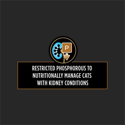 Image showing  Veterinary Diets Adult NF Kidney Function Advanced Care Wet Cat Food, 5.5 oz., Pack of 24 Cans