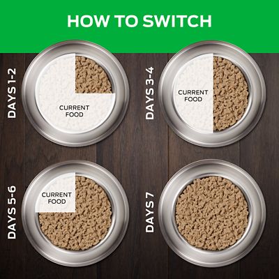 Image showing  Veterinary Diets HA Hydrolyzed Canine Formula Chicken Flavor Wet Dog Food, 13.3 oz., Pack of 12 Cans