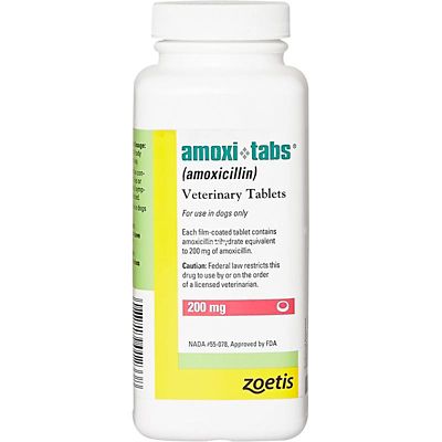 Image showing  (Amoxicillin) Tablets