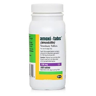Image showing  (Amoxicillin) Tablets