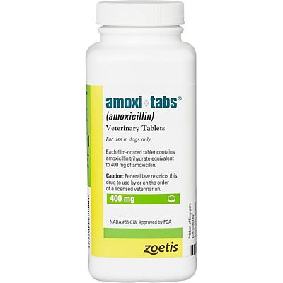 Image showing  (Amoxicillin) Tablets