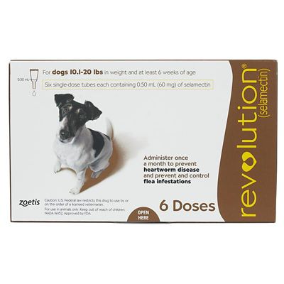 Image showing  Topical for Dogs