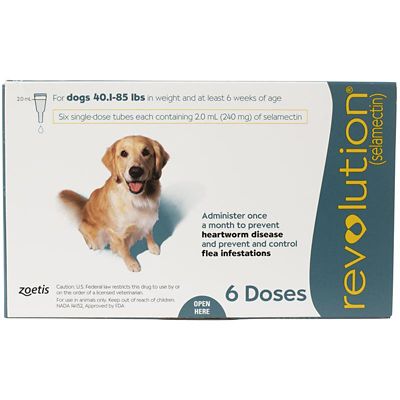 Image showing  Topical for Dogs