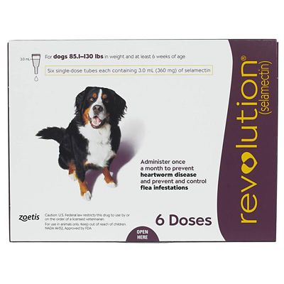 Image showing  Topical for Dogs