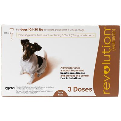 Image showing  Topical for Dogs