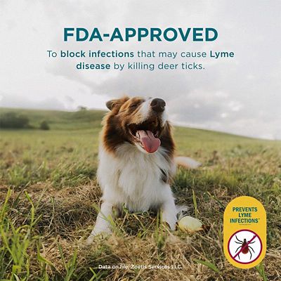 Image showing  Chewable Tablets for Dogs