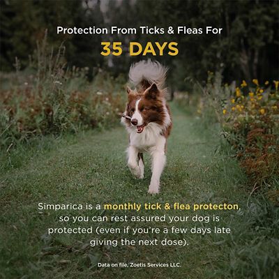 Image showing  Chewable Tablets for Dogs