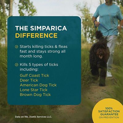 Image showing  Chewable Tablets for Dogs