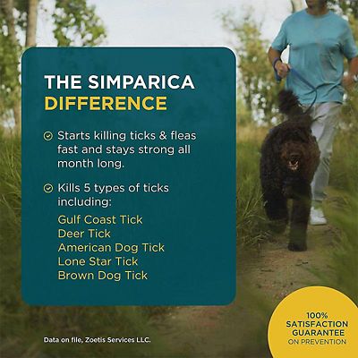 Image showing  Chewable Tablets for Dogs