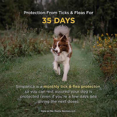 Image showing  Chewable Tablets for Dogs