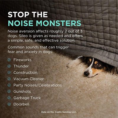 Image showing  (Dexmedetomidine Oromucosal) Gel, 0.09 mg/mL, 3 mL Syringe