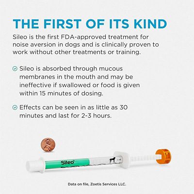Image showing  (Dexmedetomidine Oromucosal) Gel, 0.09 mg/mL, 3 mL Syringe