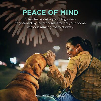 Image showing  (Dexmedetomidine Oromucosal) Gel, 0.09 mg/mL, 3 mL Syringe