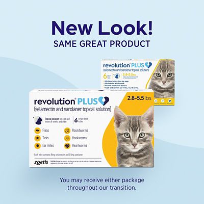 Image showing  Plus Topical Solution for Cats