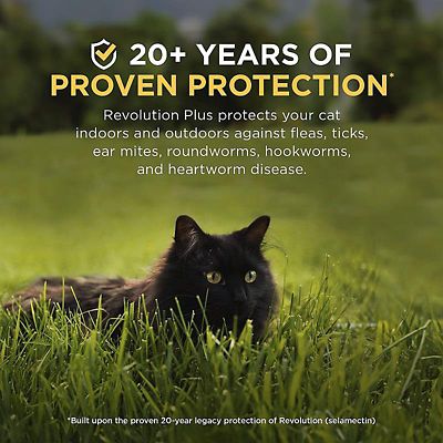 Image showing  Plus Topical Solution for Cats