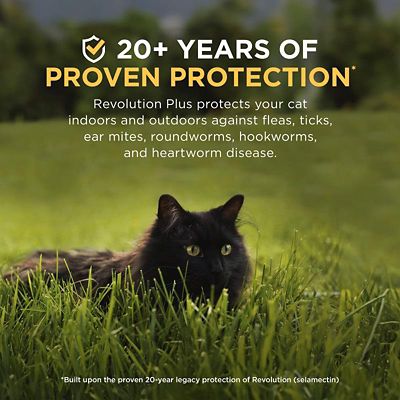 Image showing  Plus Topical Solution for Cats