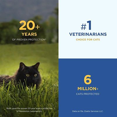 Image showing  Plus Topical Solution for Cats