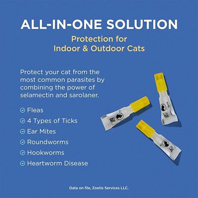 Image showing  Plus Topical Solution for Cats
