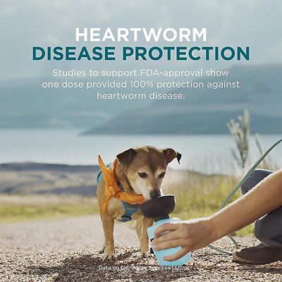 Image showing  Trio Chewable Tablets for Dogs