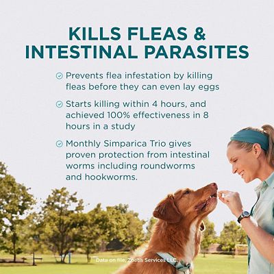 Image showing  Trio Chewable Tablets for Dogs