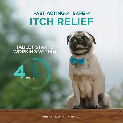 Image showing  (Oclacitinib) Tablet