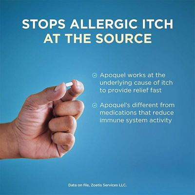 Image showing  (Oclacitinib) Tablet