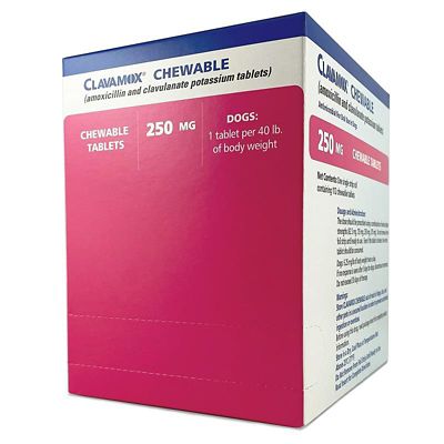 Image showing  Chewable Tablet