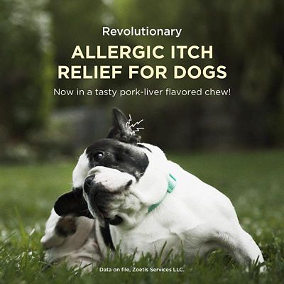 Image showing  (Oclacitinib) Chewable Tablet