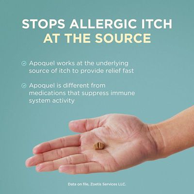 Image showing  (Oclacitinib) Chewable Tablet