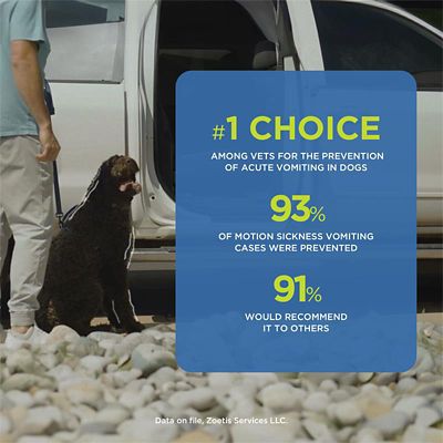 Image showing  (Maropitant Citrate) Tablets