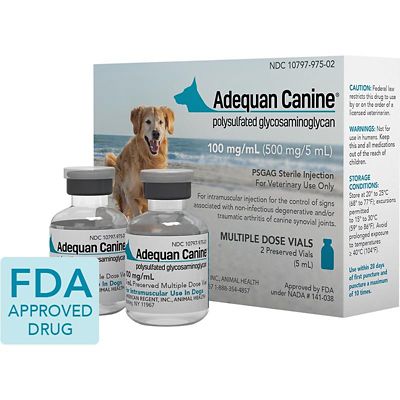 Image showing  Canine, 100 mg/mL Single 5 mL Vial