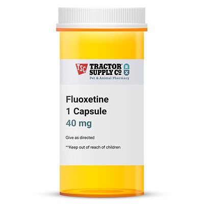 Fluoxetine Capsule
