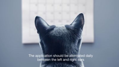 Image showing  100 mg/tube in 5 gram Tube (20 mg per 1g)