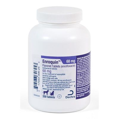 Enrofloxacin Enroquin Flavored Tablet