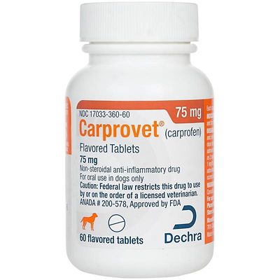 Image showing  Carprovet Flavored Tablets