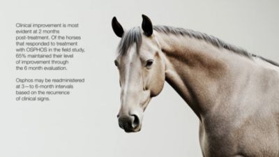 Image showing  Injection, 60 mg/mL, 15 mL