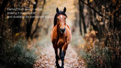 Image showing  Pentosan Polysulfate Sodium Injection, 250 mg/mL, 7.5 mL
