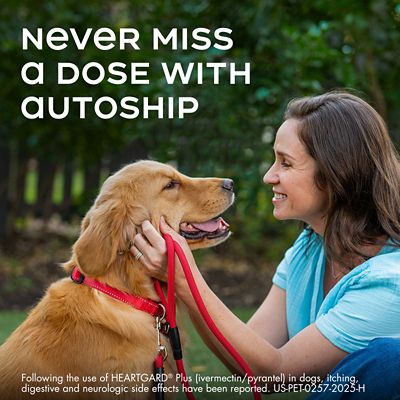 Image showing  Plus Chewables for Dogs