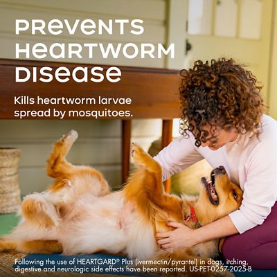 Image showing  Plus Chewables for Dogs