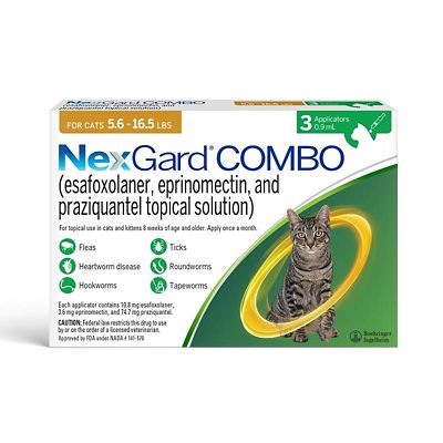 NexGard COMBO Topical Flea, Tick, & Worm Preventative for Cats and Kittens