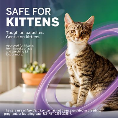 Image showing  COMBO Topical Flea, Tick, & Worm Preventative for Cats and Kittens