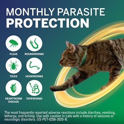 Image showing  COMBO Topical Flea, Tick, & Worm Preventative for Cats and Kittens