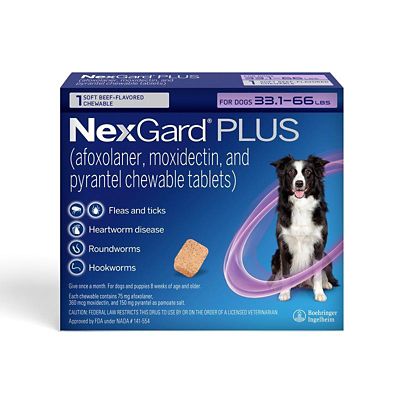 Image showing  PLUS Flea, Tick & Worm Treatment Chewables for Dogs