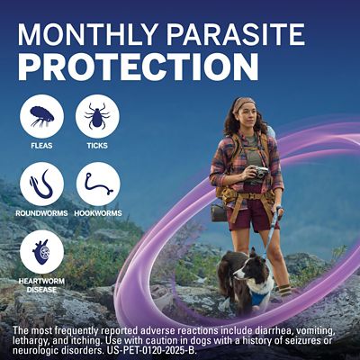 Image showing  PLUS Flea, Tick & Worm Treatment Chewables for Dogs