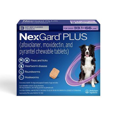Image showing  PLUS Flea, Tick & Worm Treatment Chewables for Dogs