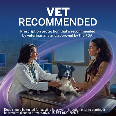 Image showing  PLUS Flea, Tick & Worm Treatment Chewables for Dogs