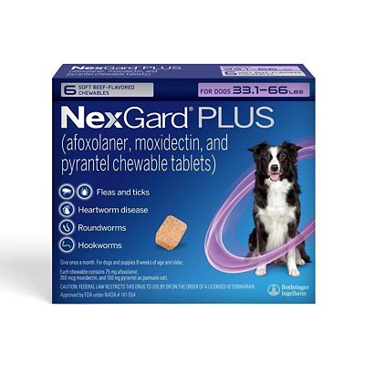 Image showing  PLUS Flea, Tick & Worm Treatment Chewables for Dogs